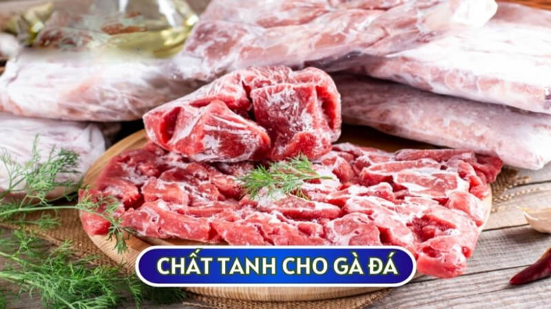 Chất tanh hay còn được biết đến là thịt lợn, thịt bò để tăng sức đề kháng cho GÀ CHIẾN